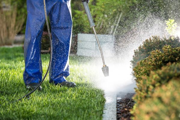 Cost of Curb Cleaning in Bradenton