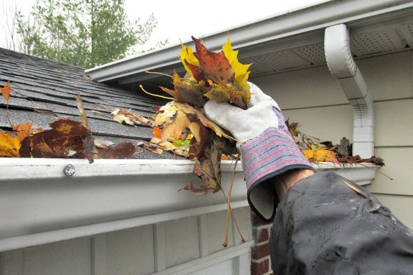 Cost of Eaves Cleaning in Bradenton