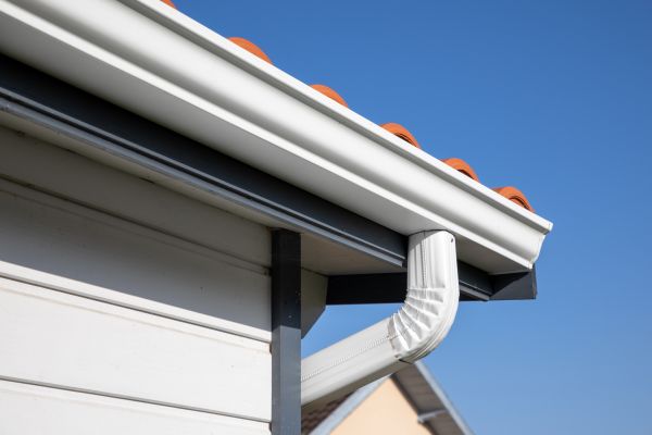 Roofline Cleaning in Bradenton