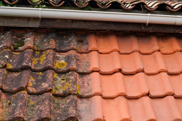 Industrial Roof Cleaning in Bradenton
